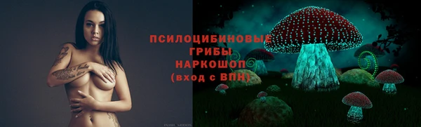 ПСИЛОЦИБИНОВЫЕ ГРИБЫ Алексеевка