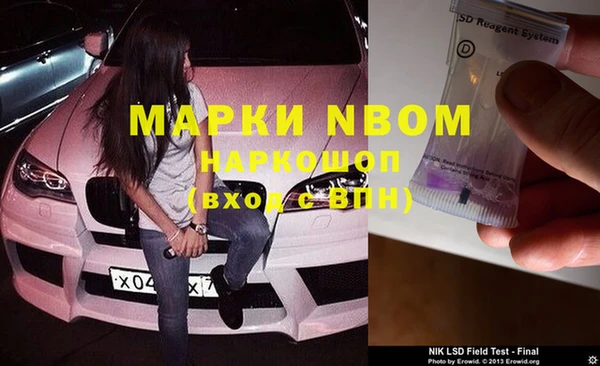 шишки Алексин