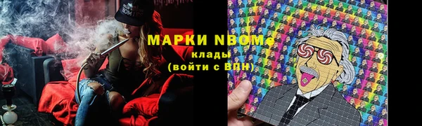PSILOCYBIN Армянск